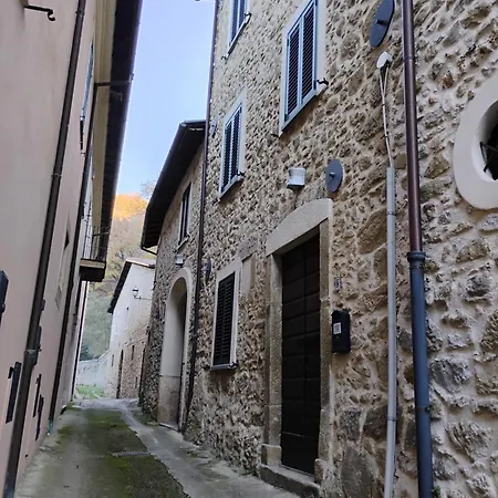 Il Gallo D' Oro - Oca